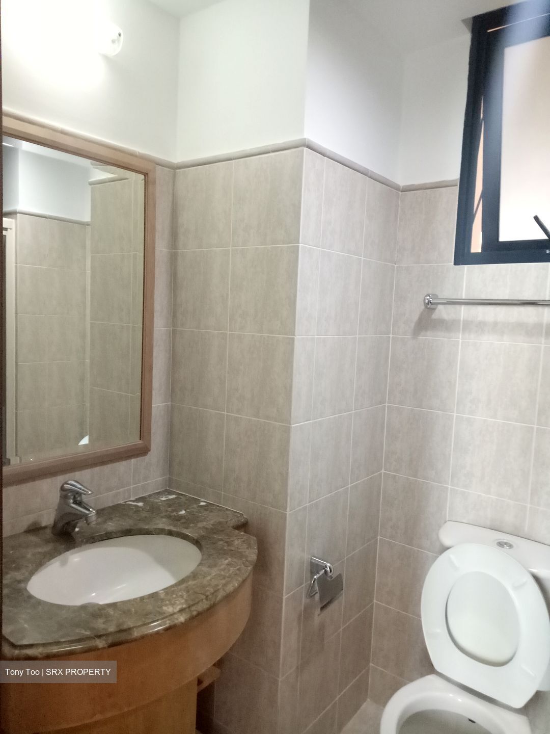 Tanglin View (D3), Condominium #504379271